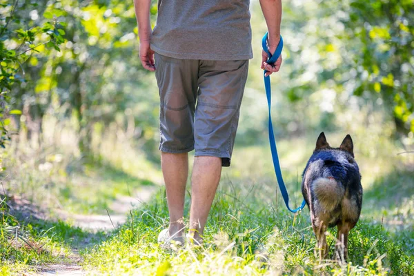 一个男人和一只狗在树林里散步 男人把狗拴在皮带上 — 图库照片
