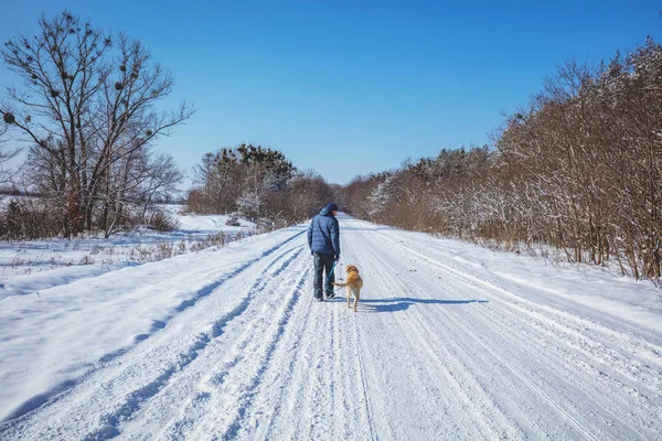 Человек Собакой Поводке Зимой Ходит Снежной Дороге — стоковое фото