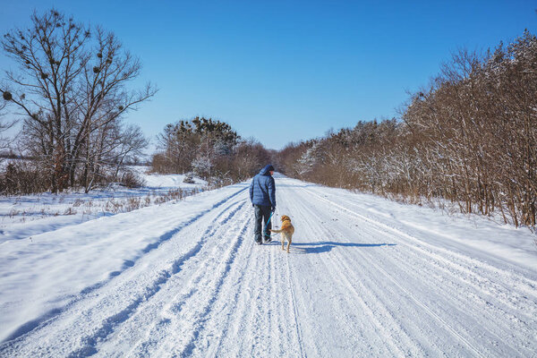Man with the dog on a leash walks in a snowy road in winter