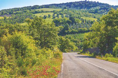 Güzel manzara, bahar doğası. Toskana, İtalya güneşli alanlar arasında Yol