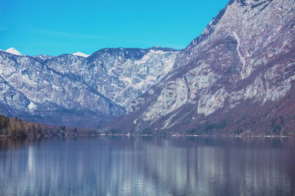 Lago Montanha Com Reflexo Bela Natureza Lago Bohinj Bohinjsko Jezero — Fotografia de Stock