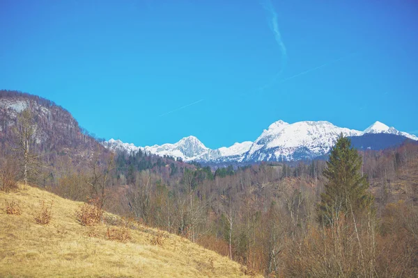 Die Gipfel Der Berge Sind Mit Schnee Bedeckt Triglav Nationalpark — Stockfoto