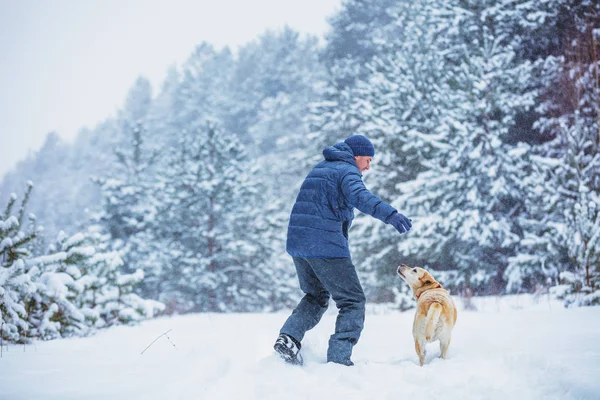 Homem Feliz Com Cão Labrador Retriever Jogando Floresta Nevada Inverno — Fotografia de Stock