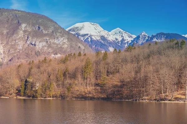 Mountain lake on a sunny day. Lake Bohinj (Bohinjsko jezero), Slovenia, Europe