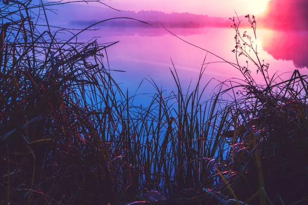 Göl Üzerinde Büyülü Mor Gündoğumu Puslu Sabah Kırsal Manzara — Stok fotoğraf