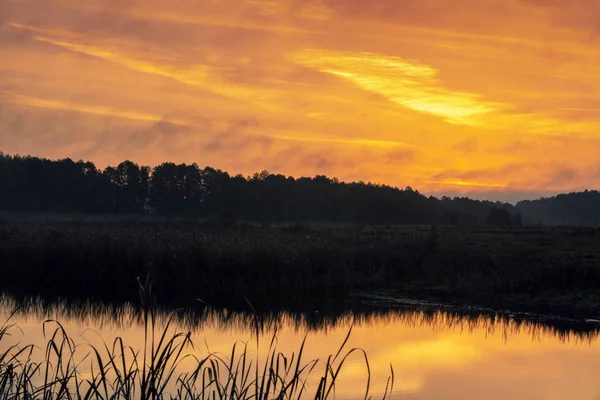 Сельский Природный Пейзаж Закат Над Озером Волшебный Красочный Закат Сельской — стоковое фото