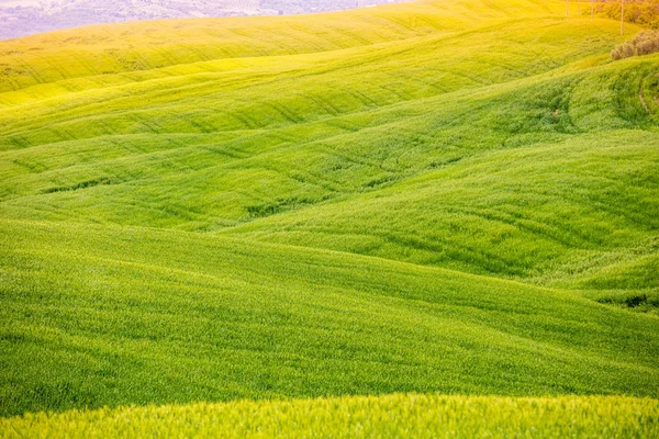 Krásná Krajina Jarní Příroda Travní Textura Přírodní Krajina Pohled Shora — Stock fotografie