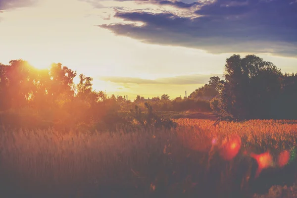 日落时分的乡村景观 — 图库照片