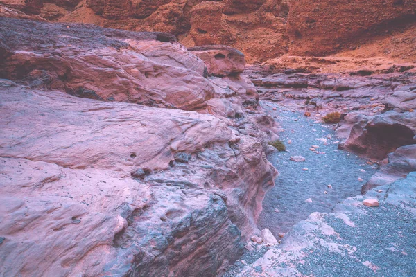 Száraz Folyómedet Vadonban Sivatagi Természet Táj Kőtextúra Vörös Kanyon Sivatagban — Stock Fotó
