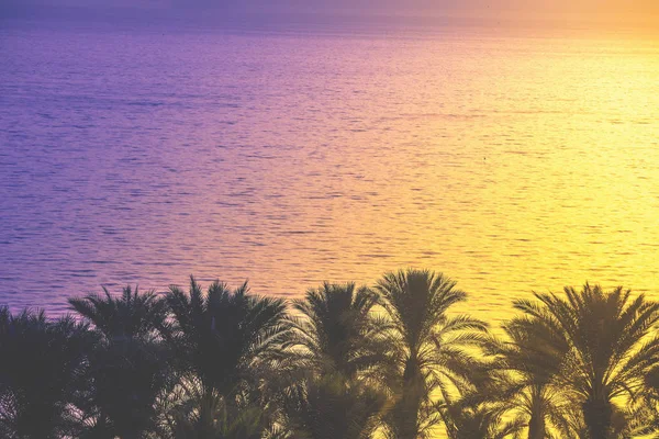 Прекрасное Галилейское Море Ранним Утром Морской Пейзаж Северном Израиле Пальмы — стоковое фото