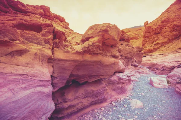 Red Canyon Eilat Israel Trockenes Flussbett Wildnis Wüste Naturlandschaft Stein — Stockfoto