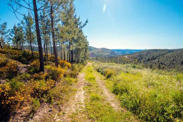 葡萄牙塞拉达埃斯特雷拉自然公园的肮脏道路 — 图库照片