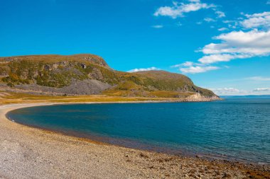 Kaya sahili. Vahşi doğa. Norveç 'in güzel doğası. Güneşli bir günde açık deniz. İskandinav doğa manzarası