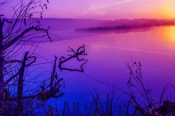 Magica Alba Viola Sul Lago Mattina Nebbiosa Paesaggio Rurale — Foto Stock