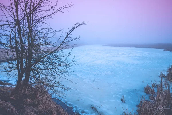 Ländliche Winterlandschaft Frostwetter Der Zugefrorene See Frühen Morgen Baum Nahe — Stockfoto