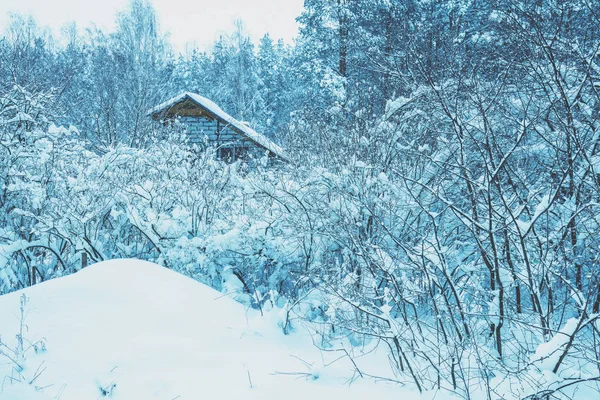 Güzel Kış Kırsal Manzarası Karlı Kışta Ormandaki Köy — Stok fotoğraf