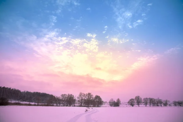 冬の風景 田舎での夜 雪に覆われた畑に美しいグラデーションの空の夕日 魔法の光を持つ農村風景 — ストック写真