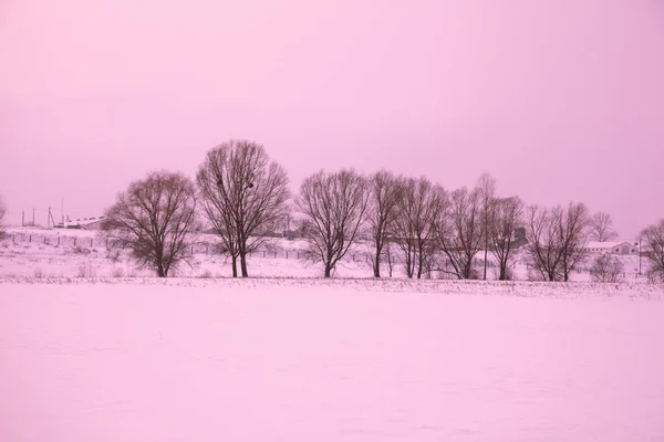 Winter landscape. Morning in the village. Sunrise over the field covered with snow. Rural landscape with magic light