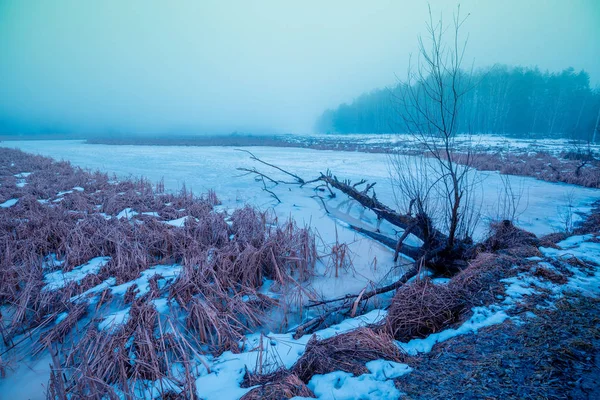 Rural winter landscape. Frosty weather. Frozen lake in the early morning. Fallen dead tree on the lake
