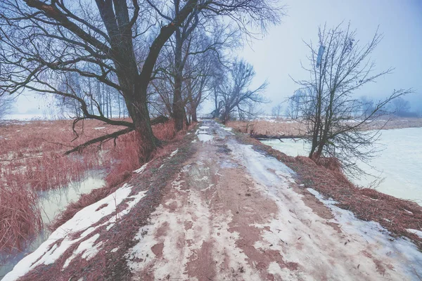 Rural winter landscape. Frosty weather. Frozen lake in the early morning. Trees by the lake. Dam road between lakes
