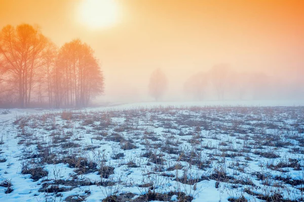 Časné Mlhavé Ráno Venkově Mlze Svítí Slunce Pole Bylo Pokryto Stock Obrázky