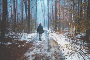 Karlı bir çam ormanında kışın bir adam yürür.