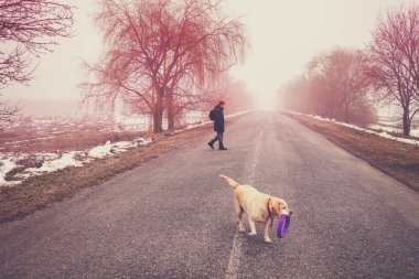 Labrador köpeği olan bir adam kışın yolda yürüyor.