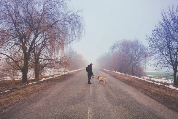 Homme Avec Chien Récupérateur Labrador Marchant Sur Route Hiver — Photo