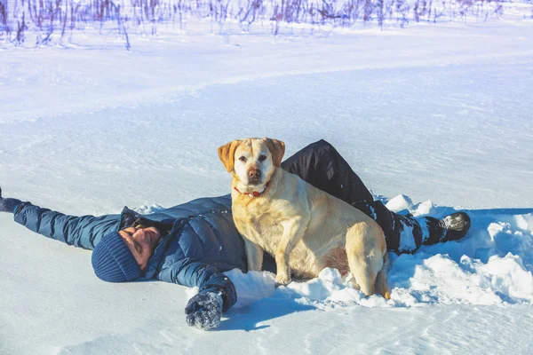 Happy Man Labrador Retriever Dog Lying Snowy Winter Forest Man — Stock Photo, Image