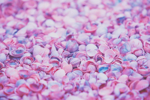 Natural Abstract Colorful Seashells Texture Background Selective Focus — Stock Photo, Image