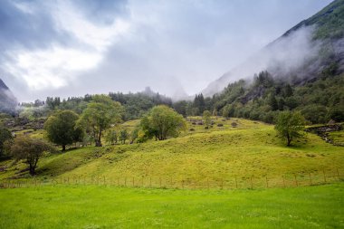Bulutlu gökyüzüne karşı güzel dağlar. Yeşil vadi. Norveç 'in Doğası