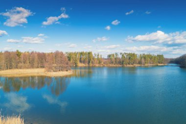 Baharın başındaki göl manzarası. Güneşli bir günde sakin bir göl. Doğa manzarası