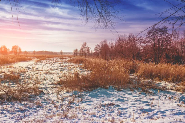Winterlandschaft Abend Auf Dem Land Sonnenuntergang Über Einer Schneebedeckten Wiese — Stockfoto