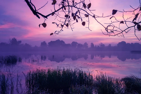 Nascer Sol Mágico Sobre Lago Misty Manhã Cedo Paisagem Rural — Fotografia de Stock
