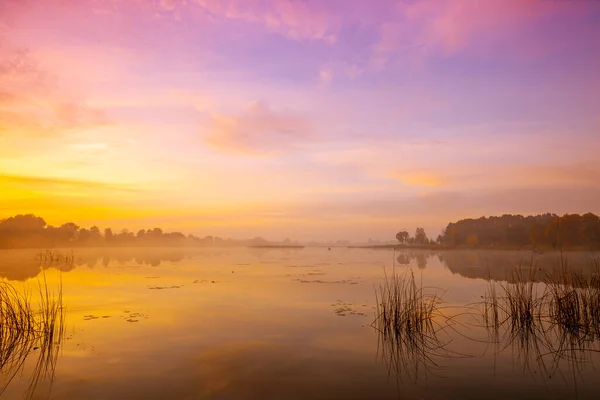 Magischer Sonnenaufgang Über Dem See Nebel Frühen Morgen Ländliche Landschaft — Stockfoto