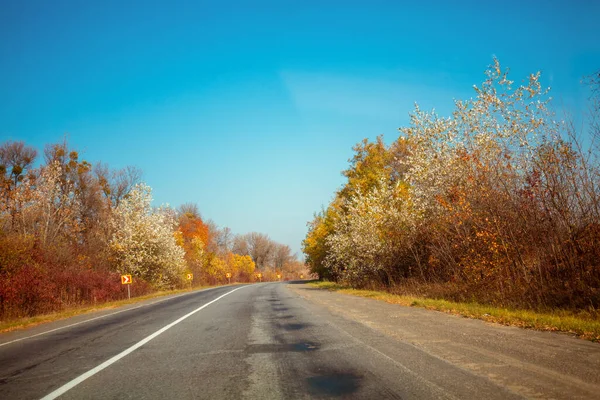 Highway Autumn Sunny Day Natural Landscape Trees Grow Road — Stock Photo, Image