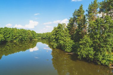 Güneşli bir yaz gününde ormandaki sakin göl