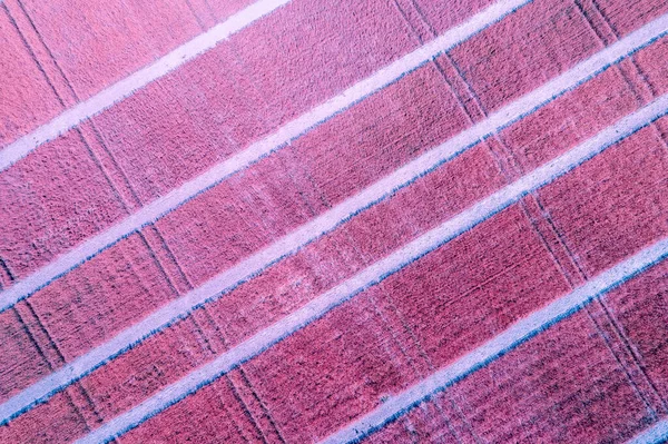 Luftaufnahme Des Bunten Geometrischen Weizenfeldes Hintergrund Ländlicher Natur Lila — Stockfoto