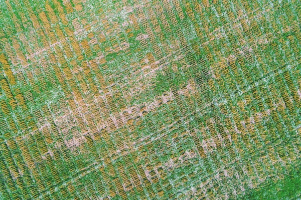 Luftaufnahme Des Bunten Geometrischen Weizenfeldes Hintergrund Ländlicher Natur — Stockfoto