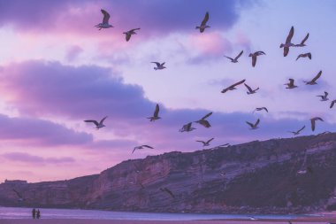 Denizin üzerinde gün batımı. Kumsalda uçan martılar. Akşamları Atlantik Okyanusu, Nazare, Portekiz, Avrupa