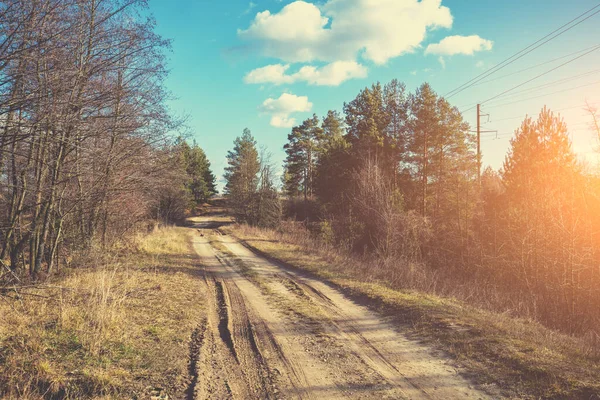 Countryside Rural Landscape Forest Road Country Dirt Road Evening Sunset — Stock Photo, Image