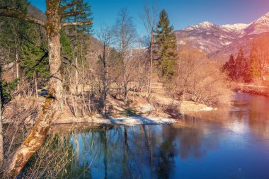 Güneşli bir günde ilkbaharın başlarında Alp manzarası. Dağ nehri Sava Bohinjka, Polje köyü yakınlarında. Slovenya ve Avrupa 'nın güzel doğası