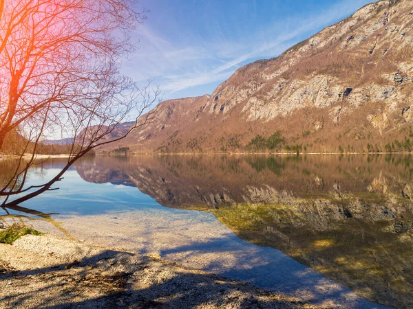 Lago Montanha Lago Bohinj Início Primavera Parque Nacional Triglav Bela — Fotografia de Stock