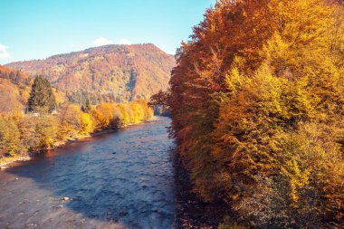 Güzel doğa manzarası. Sonbaharda gün batımında kayalık tepeleri olan dağ nehri
