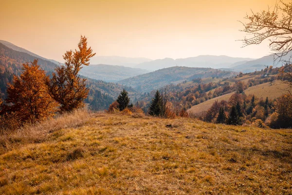 Autumn in the mountains. View of the mountains in autumn. Beautiful nature landscape. Carpathian mountains. Synevyr Pass, Zakarpattia Oblast, Ukraine
