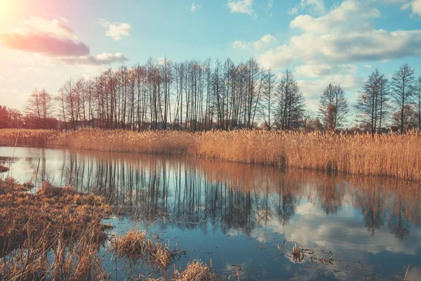 Uitzicht Rivier Weide Avond Bij Zonsondergang Licht Prachtig Natuurlandschap Met — Stockfoto