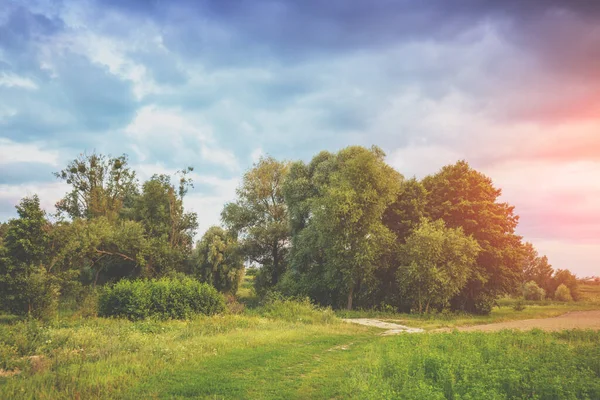 Landelijk Landschap Met Dramatische Bewolkte Avondlucht — Stockfoto