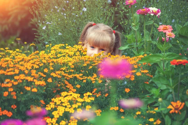 Kleines Mädchen Versteckt Sich Blumen Sommergarten — Stockfoto
