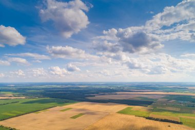 Güzel bir gökyüzü olan kırsal alan. Hava görüntüsü. Baharda ekili ve yeşil tarlaların ve çam ormanlarının manzarası