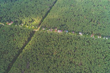 Kırsal manzara hava manzarası. Ormandaki köy.